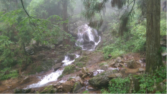 尊龙在线登录(中国)人生就是博官网