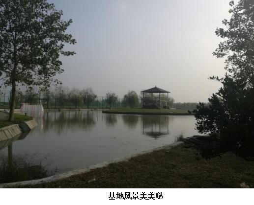 尊龙在线登录(中国)人生就是博官网